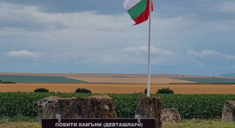 Пилон за знамена тип 