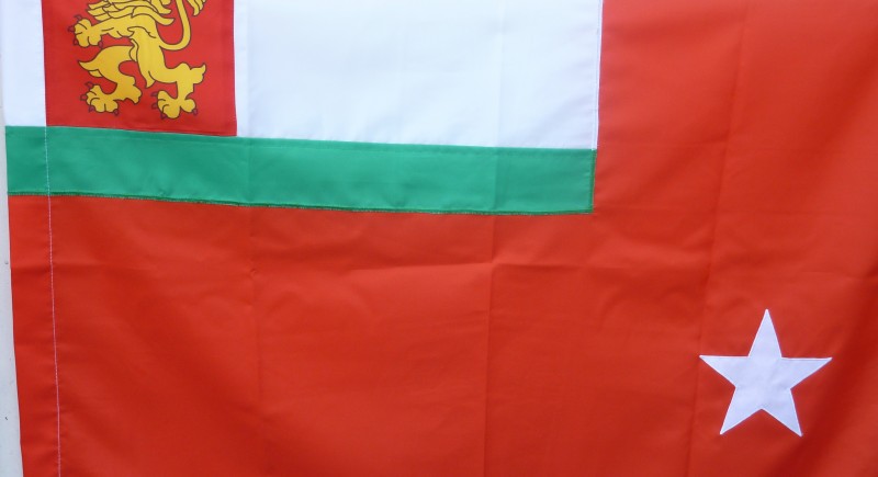 Флаг ВМС&nbsp;